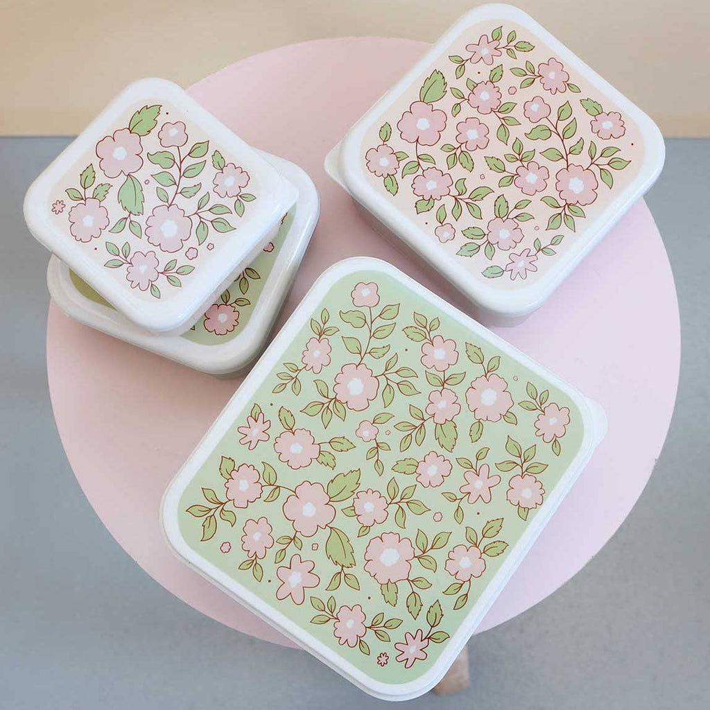 Pink and green lunch box set